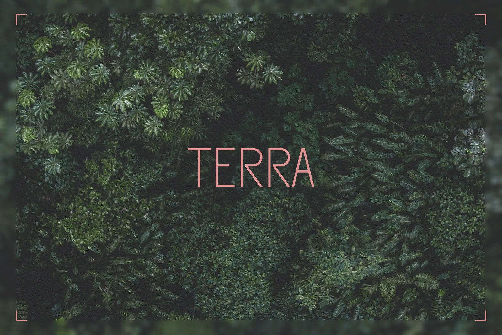 Terra café identity set against dense foliage