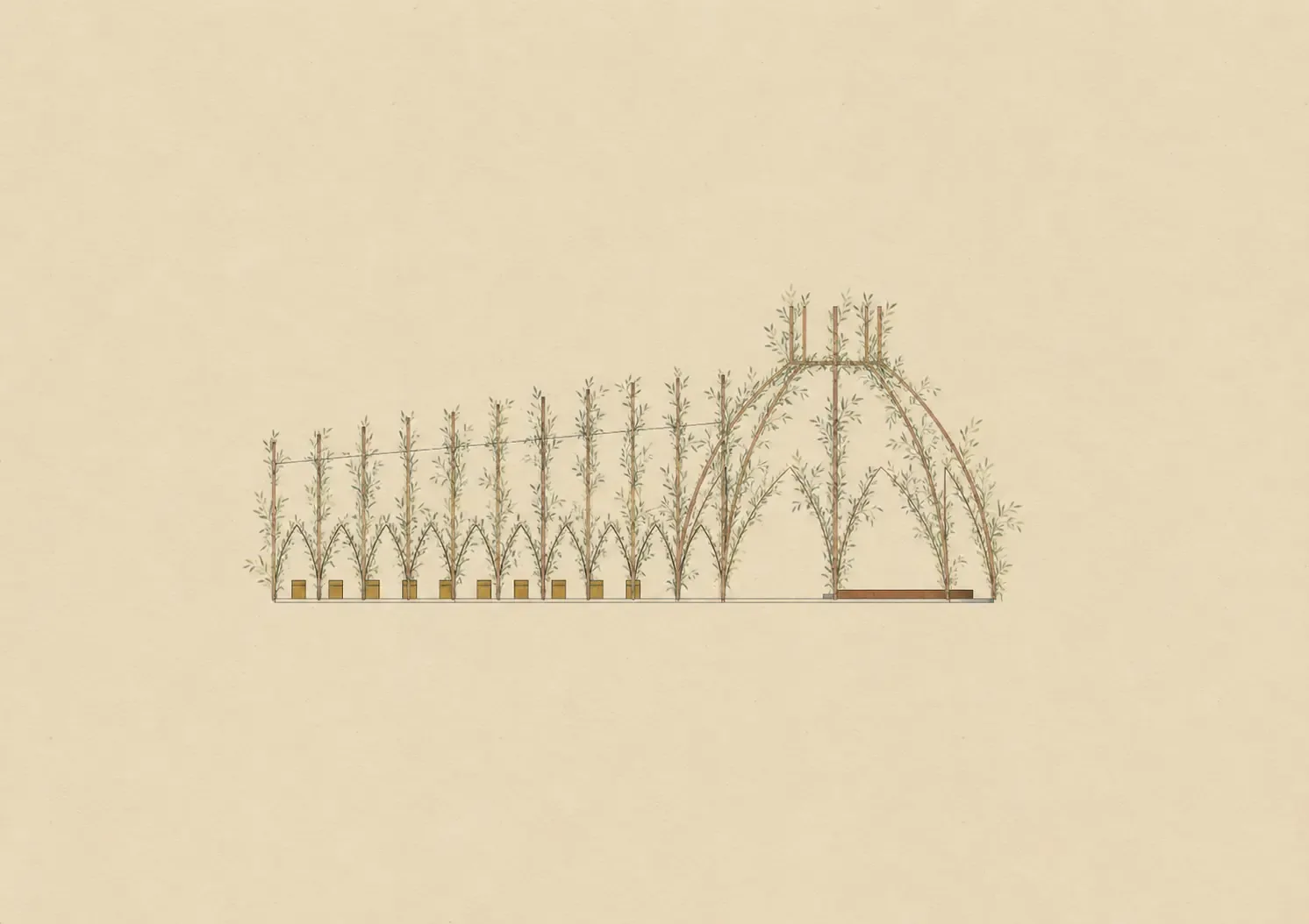 Elevation drawing of the willow audience tunnel and domed performance space