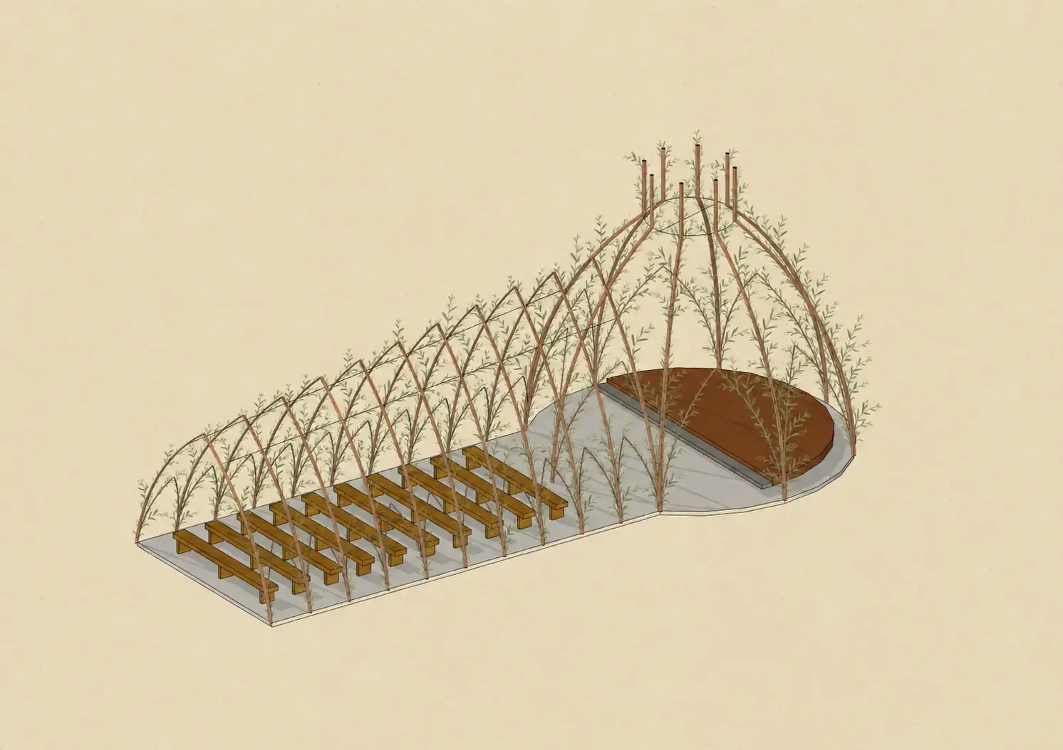 Living-willow event pavilion concept